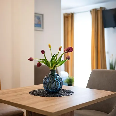Kozina Apartman
