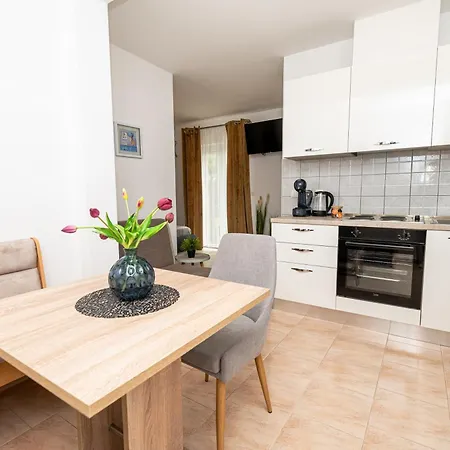 Appartement Kozina 3