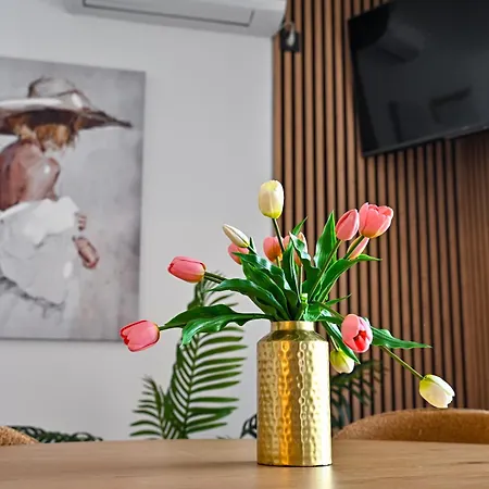Apartman Kozina Zadar